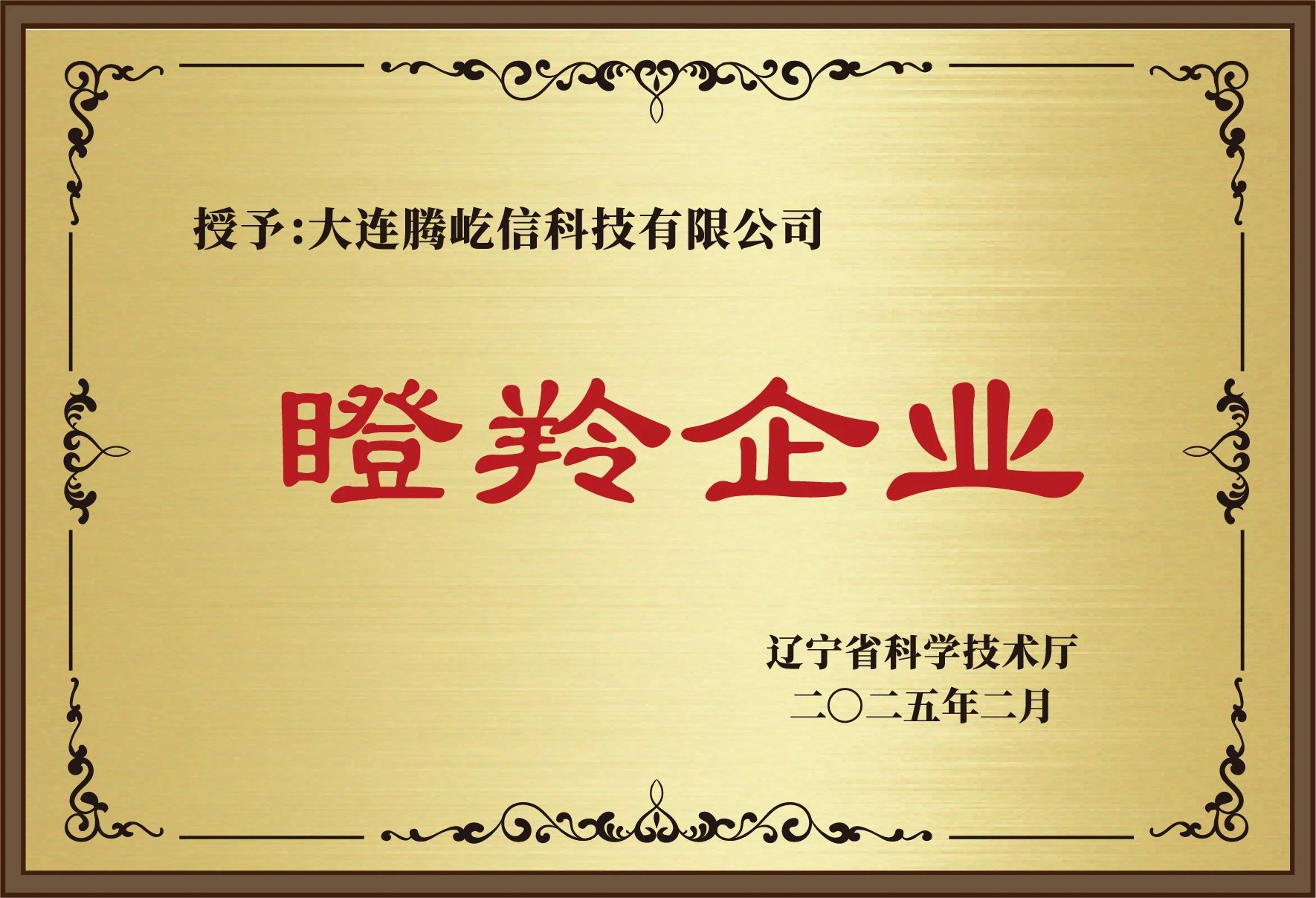瞪羚企业