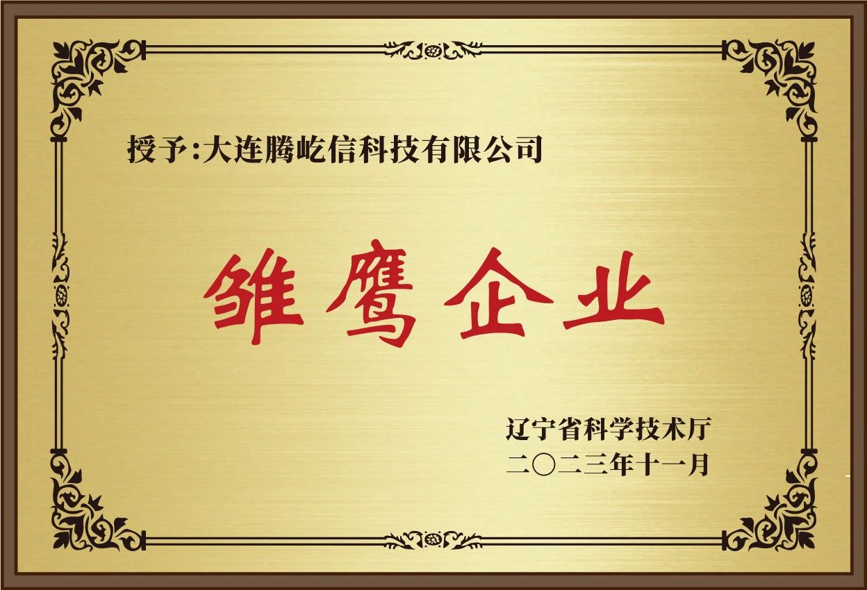 雏鹰企业