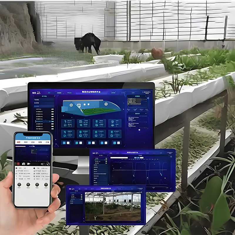 农业大棚智慧监测管理项目