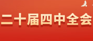二十届四中全会政策总结及重点领域解读