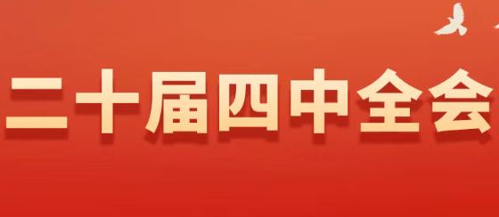 二十届四中全会政策总结及重点领域解读